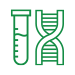 DNA strand icon
