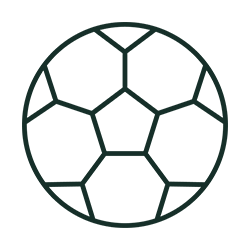 soccer icon