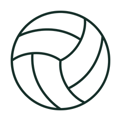 volleyball icon
